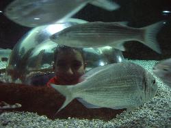 acuario2008_008.jpg