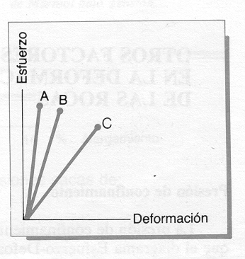 graf-esf-defor-recta.gif (91434 bytes)