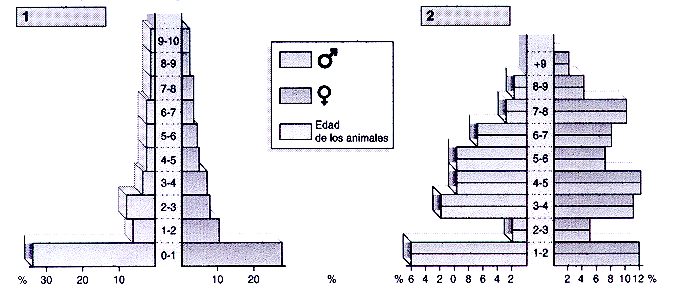 2piramides_poblac.jpg (45610 bytes)