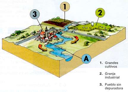 contaminacionrio.jpg (21104 bytes)