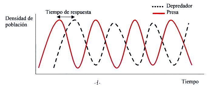 graficadepredador_presa.jpg (29082 bytes)