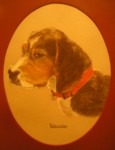beagle.jpg

1.308,16 KB 
1380 x 1800 
11/10/2005

