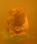 sharpei.jpg

828,01 KB 
1184 x 1388 
11/10/2005
