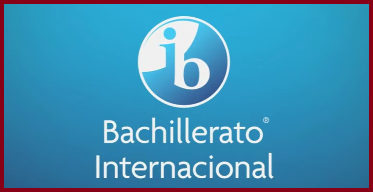 Opiniones sobre el Programa de Diploma del BI